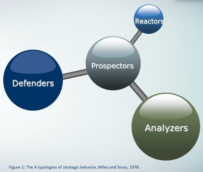 Strategic Behavior: Adapting the Business to the Environment ...
